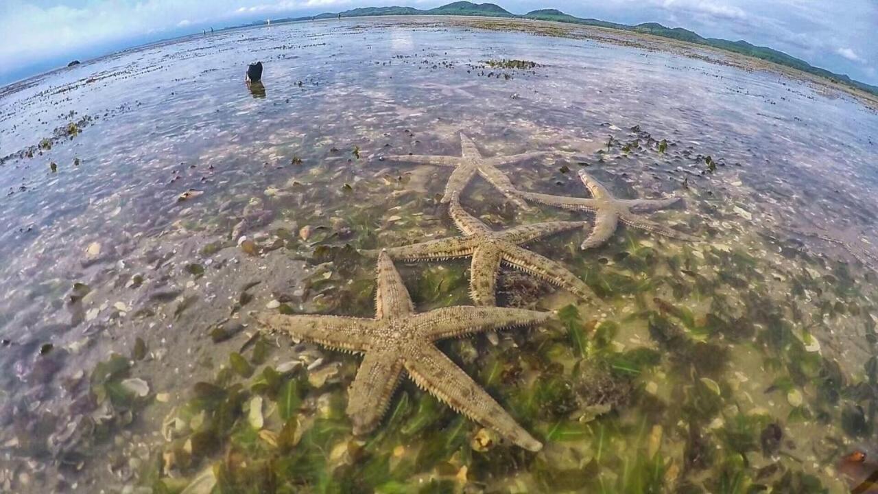 Bankruchaem Homestay Kohpu Ko Pu Bagian luar foto