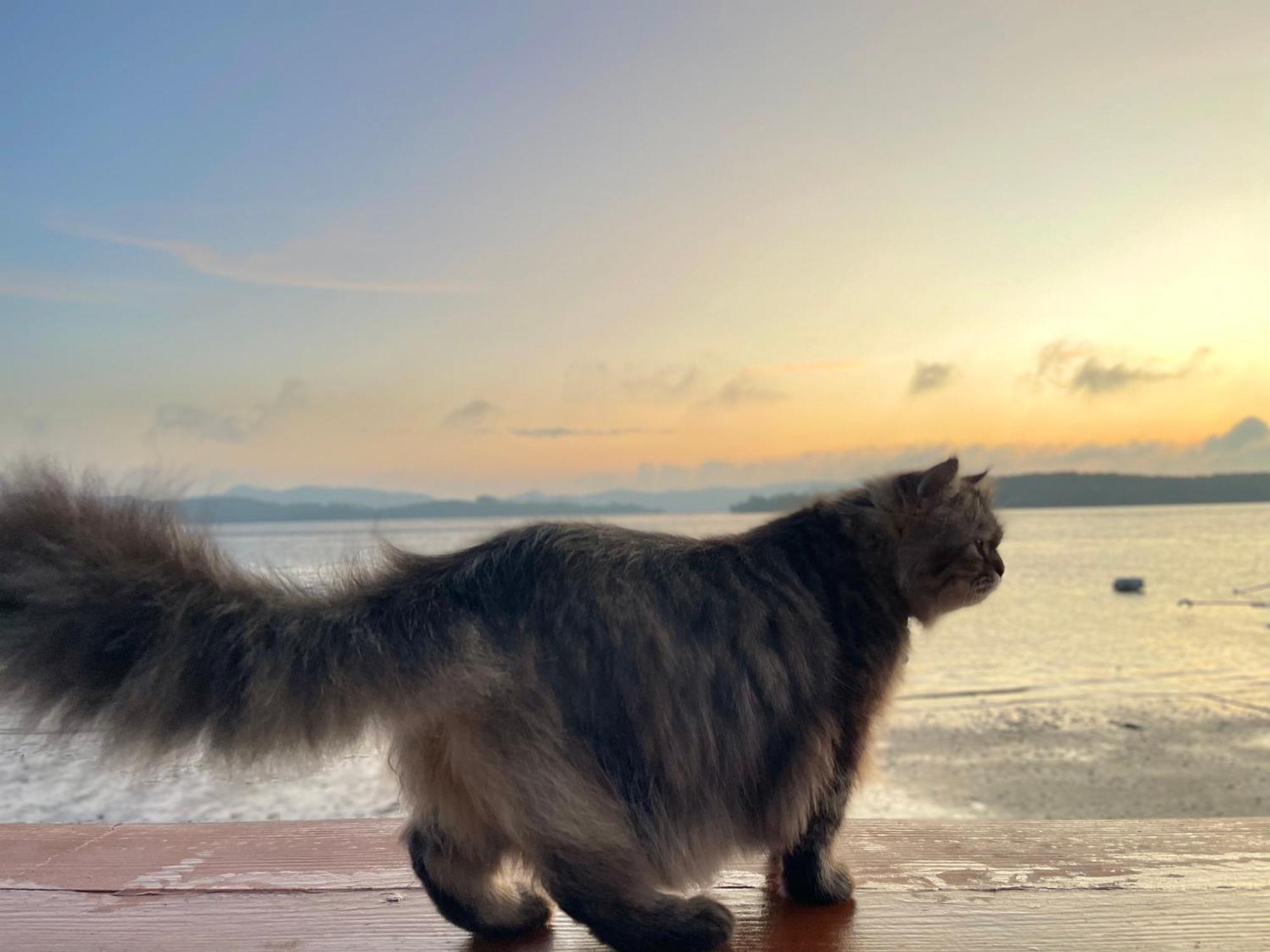 Bankruchaem Homestay Kohpu Ko Pu Bagian luar foto